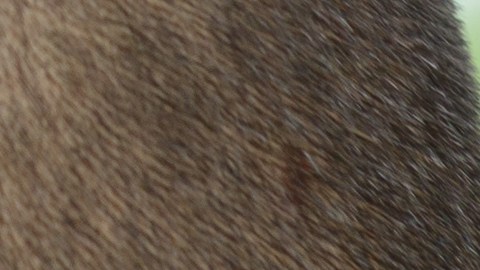 copiloto indicando algo al conductor