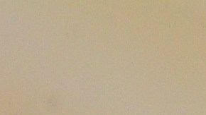 cambiar errores en la licencia de conducir