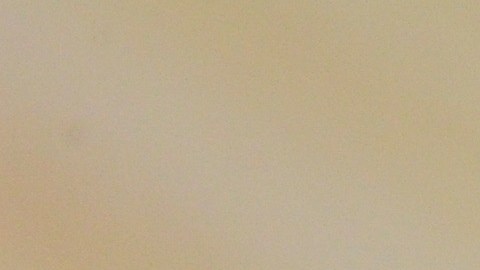 cambiar errores en la licencia de conducir