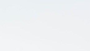 Dodge Challenger rojo y Dodge Charger blanco SRT conduciendo a alta velocidad en una pista recta.