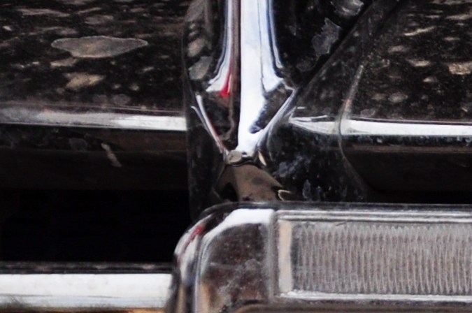 entregar las matrículas de auto