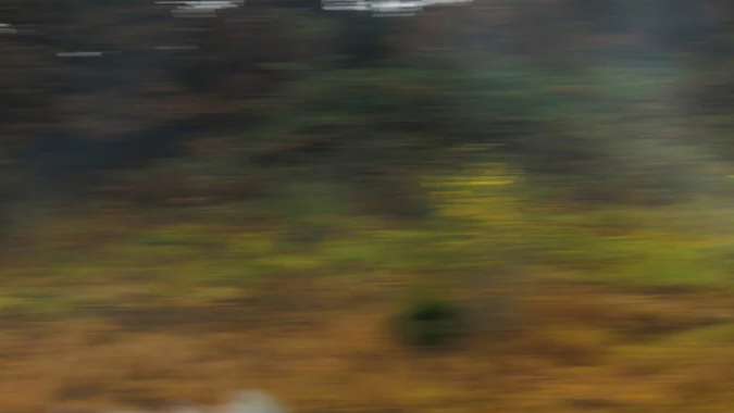 Ford Mustang EcoBoost RTR 2026 tiene grandes capacidades para el drifting.