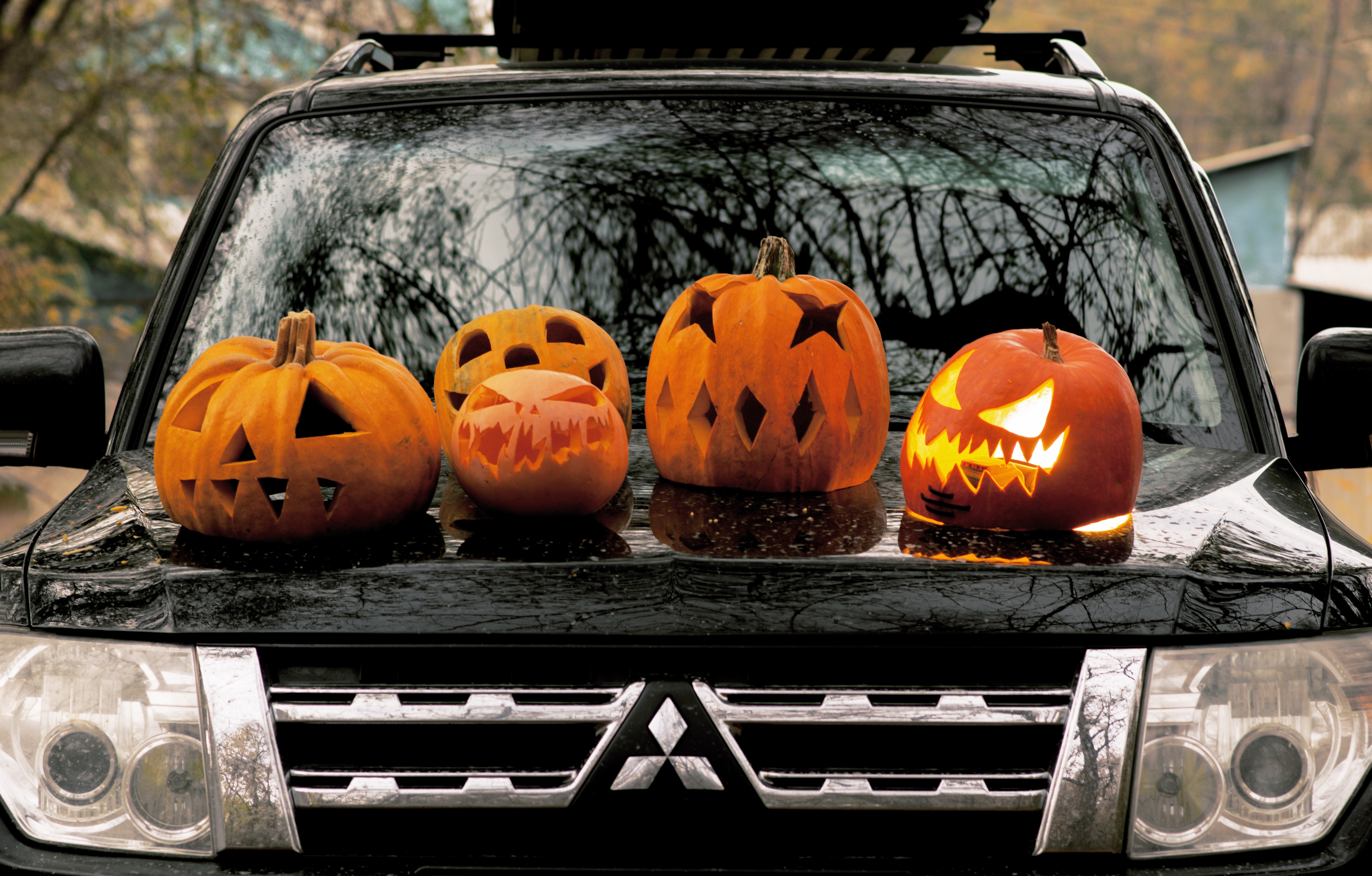 Las calabazas de Halloween son las más populares en estas festividades.