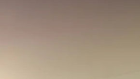 Honda Civic Type R HRC Rally XP se renueva para el rally.