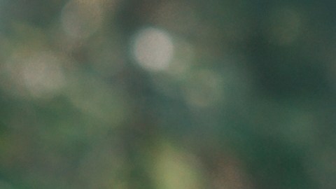 Mecánico con guantes revisando tapón de aceite, consejos para detectar y solucionar humo en motores de autos.