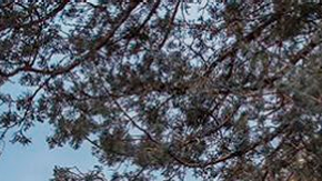 Jeep Wrangler 4xe es una de las más vendidas de la marca.