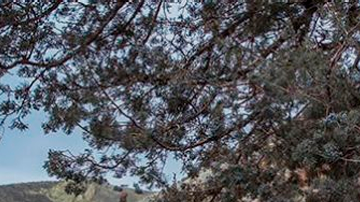 Jeep Wrangler 4xe es una de las más vendidas de la marca.