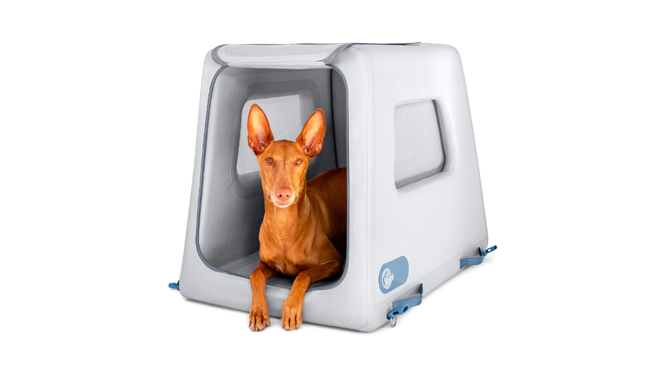 La butaca para perros Enventur Diggs es segura y ligera.