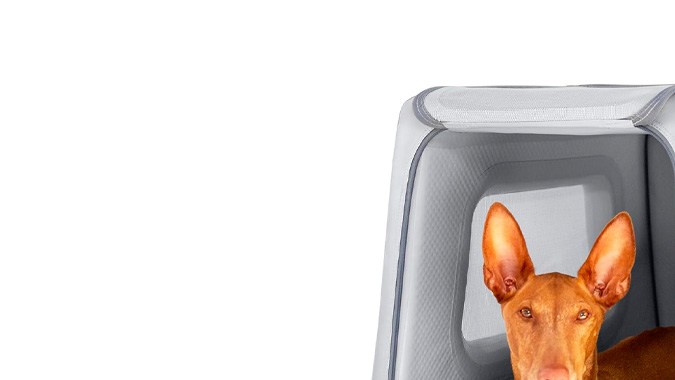 La butaca para perros Enventur Diggs es segura y ligera.