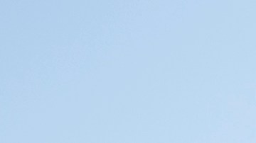 camiones circulando en la carretera