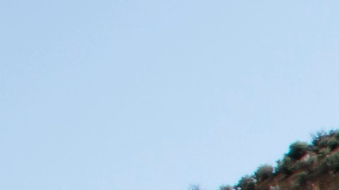 camiones circulando en la carretera