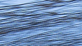 licencia provisional en georgia