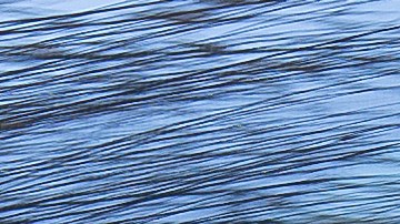 licencia provisional en georgia