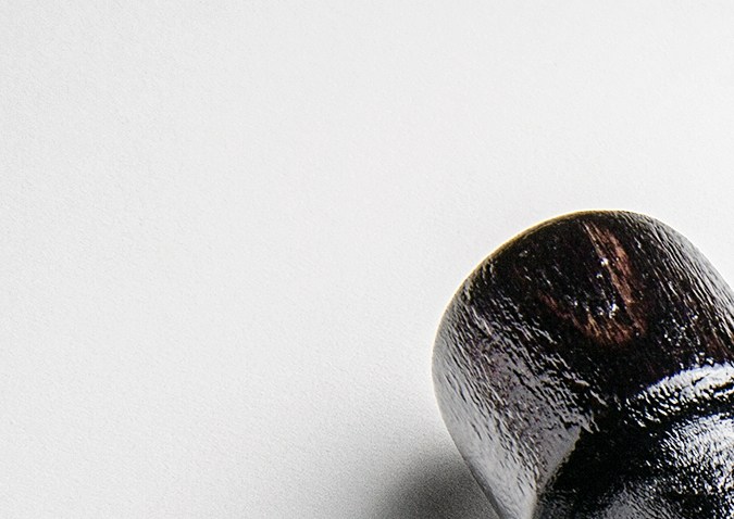 prohibiciones licencia