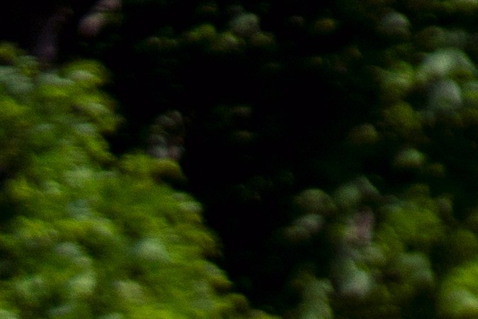 límite de velocidad bajo