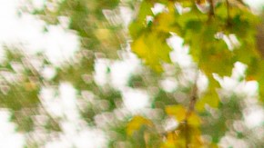 límite de velocidad en escuales