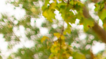 límite de velocidad en escuales