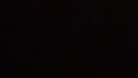 Regalos para entusiastas de autos que no rompen el banco: ¡menos de $20!