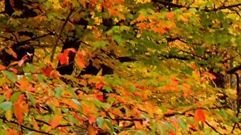 línea en las carreteras