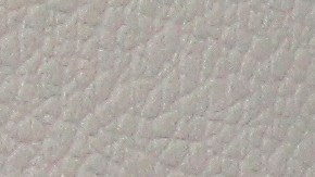 manual del conductor en nuevo mexico