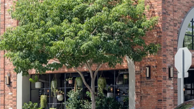 Maserati Grecale Trofeo 2025 es una mezcla entre elegancia y deportividad.