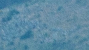 Número USDOT en camiones