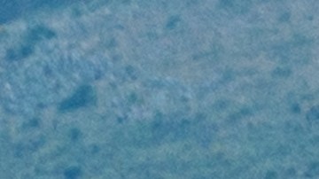 Número USDOT en camiones