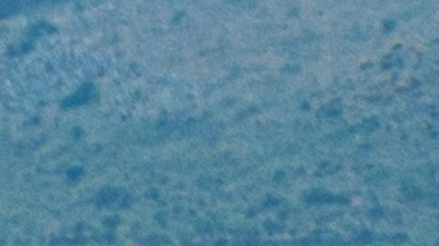 Número USDOT en camiones