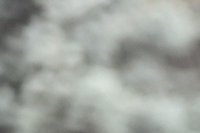 cosas y animales en el área de carga del vehículo