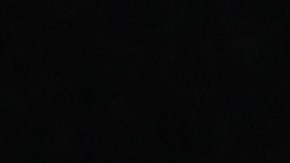 Los organizadores de maletero ayudan a mantener los objetos en su lugar.