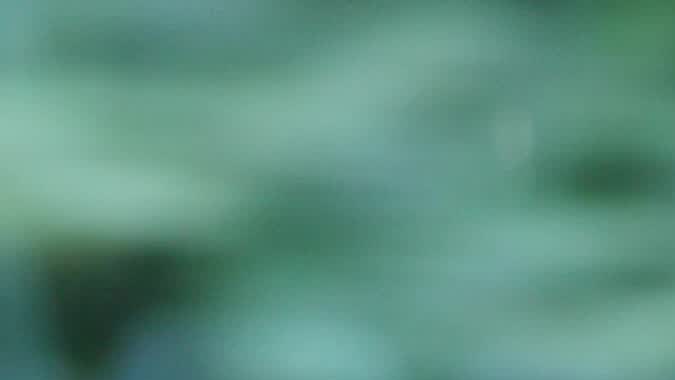 uso del teléfono al volante