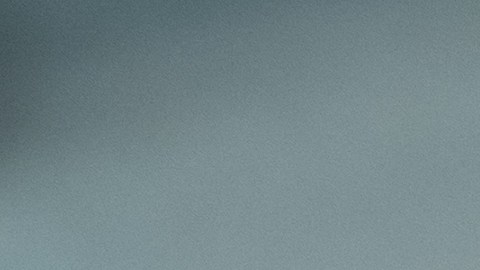 Las butacas o asientos para perros ofrecen protección a la mascota y vehículo.