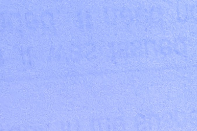 renovación de placa propia