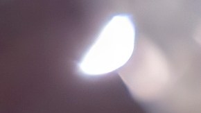 placas para vehículos históricos