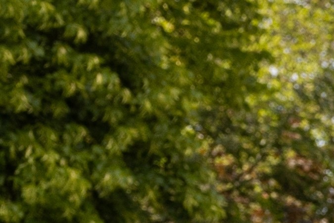 vehículos antiguos o de colección