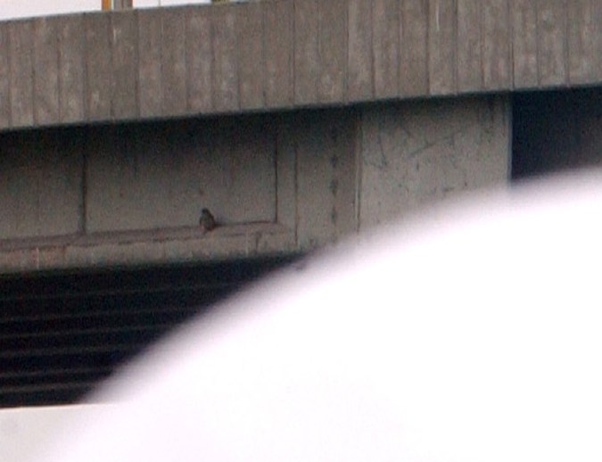 cámara para exceso de velocidad