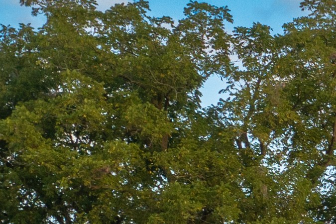 Ram 1500 Hemi V8 2026 logra muchas ventas.