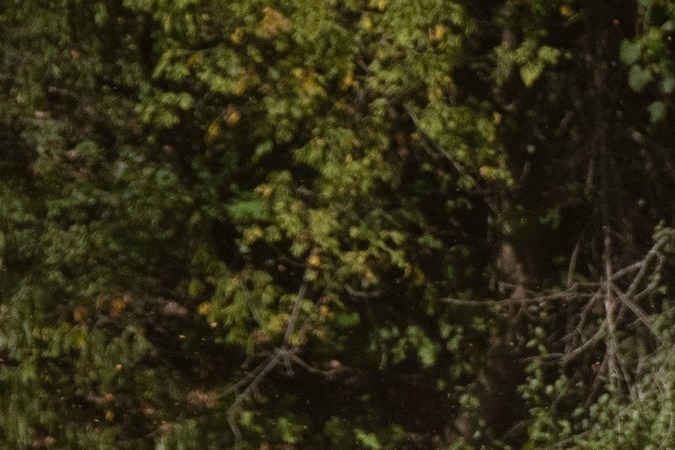 Ram 1500 Hemi V8 2026 presenta una mayor potencia.