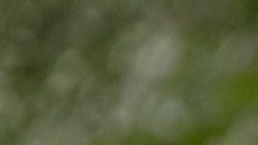 Ram 1500 Hemi V8 2026 tiene nuevos acabados.