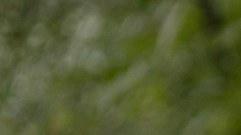 Ram 1500 Hemi V8 2026 tiene nuevos acabados.