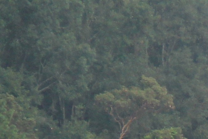 rampa para reducir la velocidad en carretera