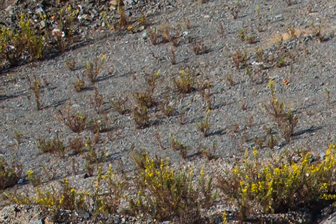 accidente de camión