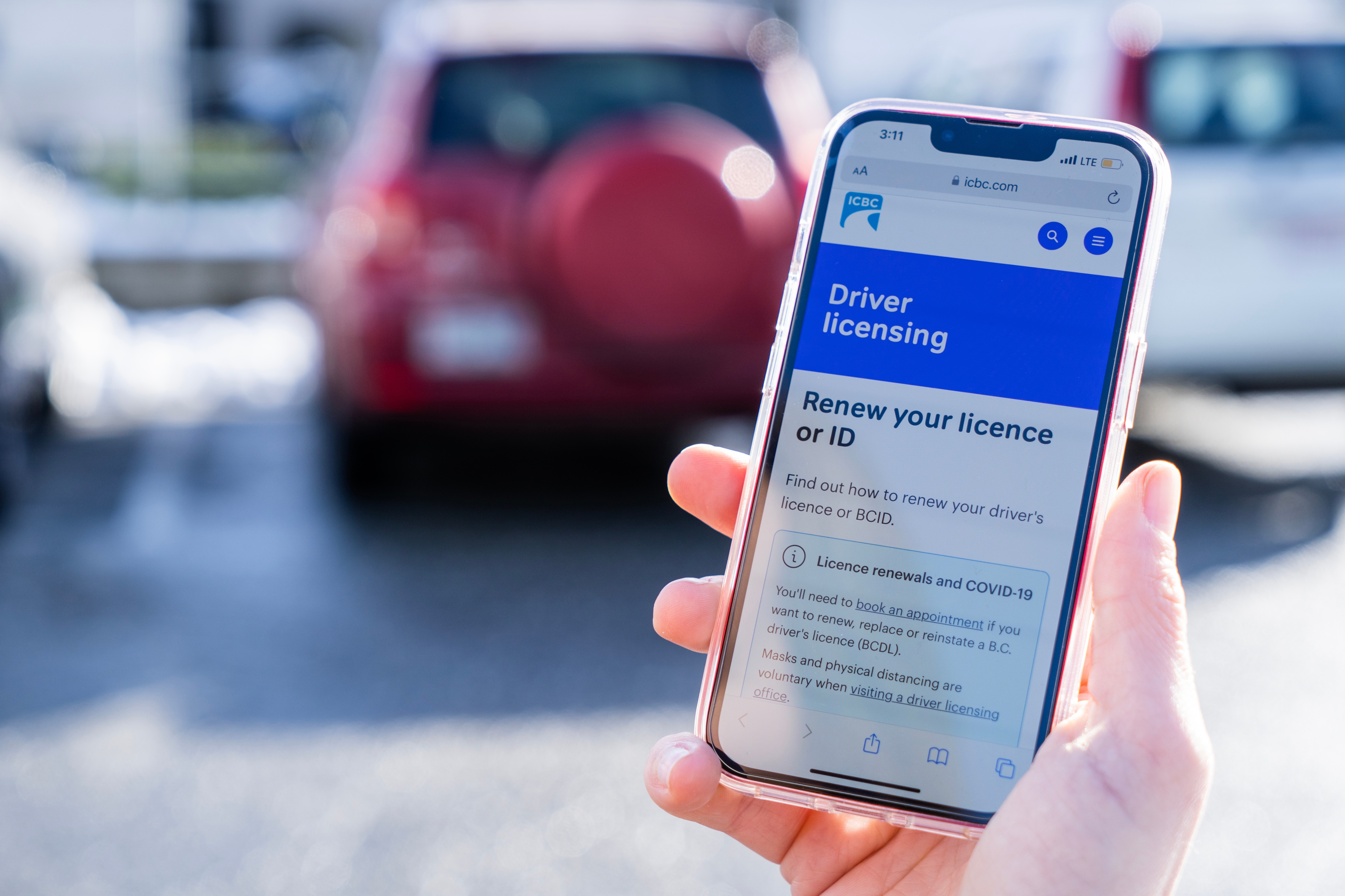 aviso renovación licencia illinois