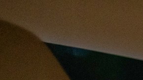 más de 180 piezas de madera forman el retrato vivo de Bailey, lengua afuera y ojos llenos de picardía.