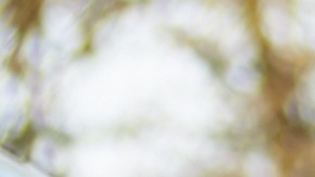 accidente conductor adolescente