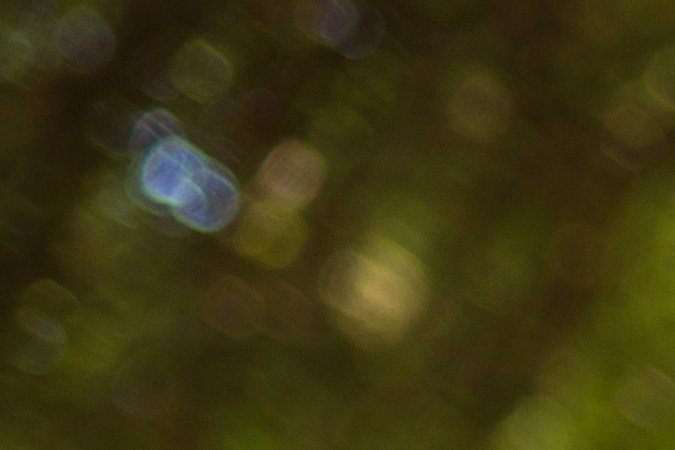 requisitos de seguro para conductores adolescentes