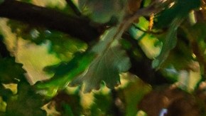 señales de tránsito confusas