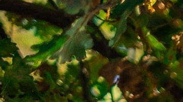 señales de tránsito confusas