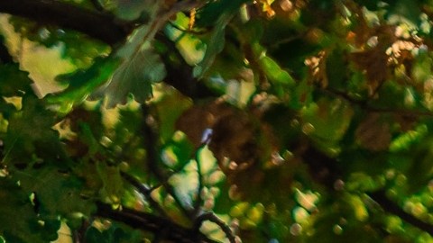 señales de tránsito confusas