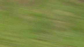 pasar vehículos de forma seguro en texas